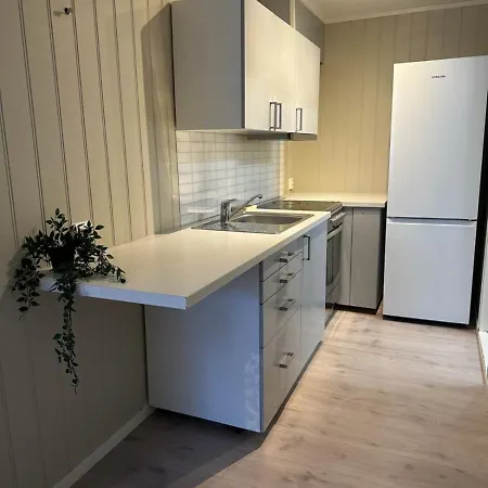 Lys Rent Og Trivelig Hybelleilighet *