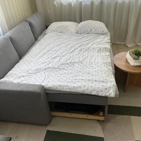 Lys Rent Og Trivelig Hybelleilighet شقة كريستينساند