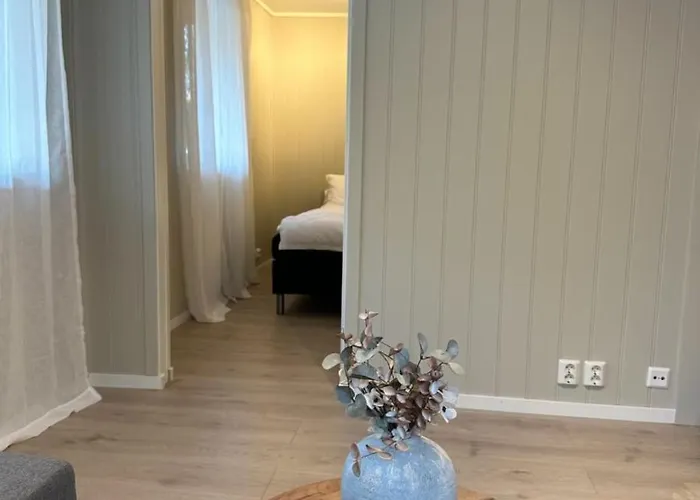 Apartment Lys Rent Og Trivelig Hybelleilighet